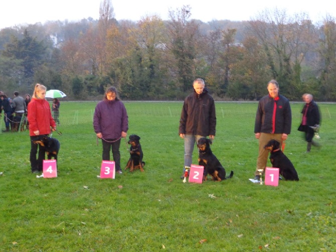 Du Relais De Thyle - Journée beauceronne de Meulan !