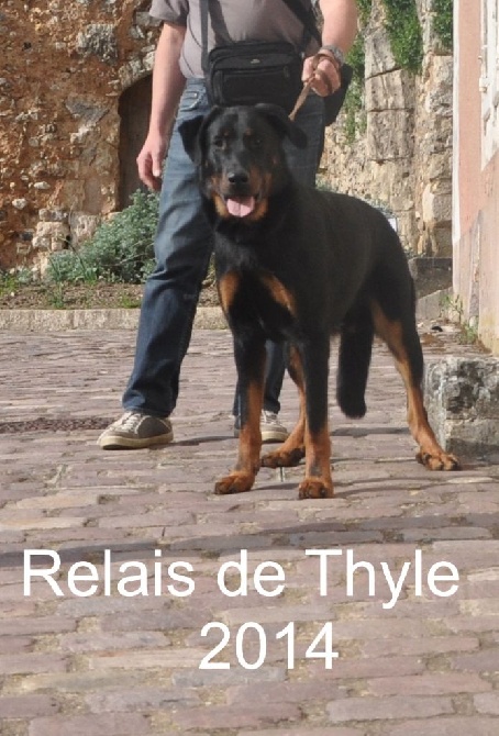 Du Relais De Thyle - Exposition internationale de Châteauroux !