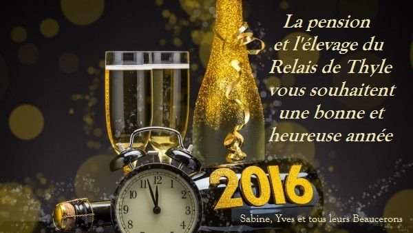 Du Relais De Thyle - Bonne année 2016 ! 