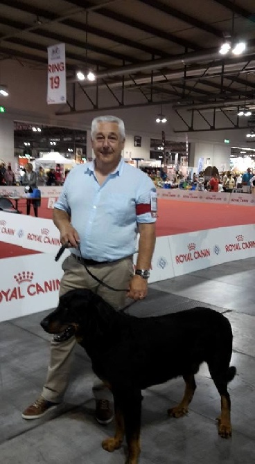 Du Relais De Thyle - World Dog Show 2015