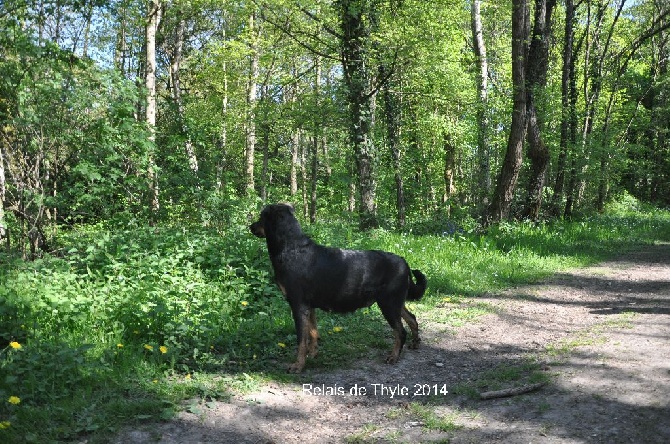 Du Relais De Thyle - Une future maman heureuse ! 