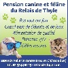  - Pension Canine et féline ! 