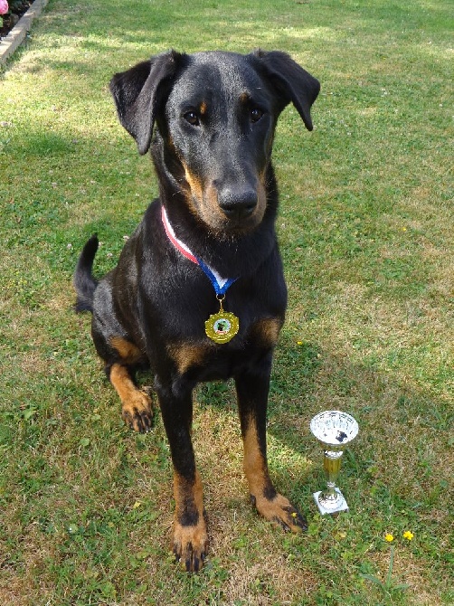 Du Relais De Thyle - Journée Beauceronne de Prey