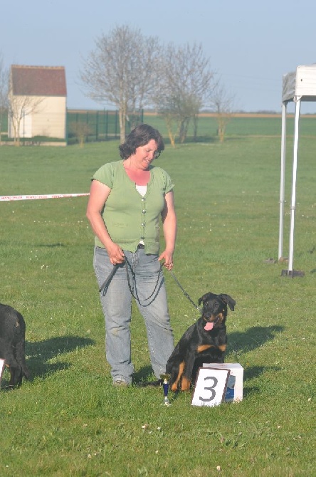 Du Relais De Thyle - Journée Beauceronne ! 