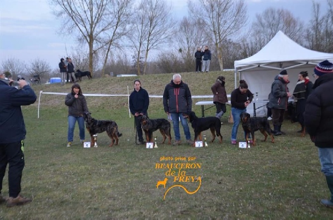 Du Relais De Thyle - Journée Beauceronne !