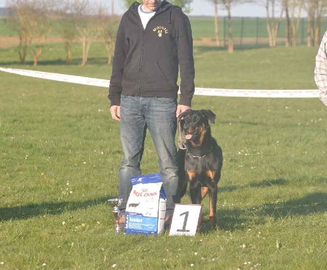 Du Relais De Thyle - Journée Beauceronne d'Amponville !