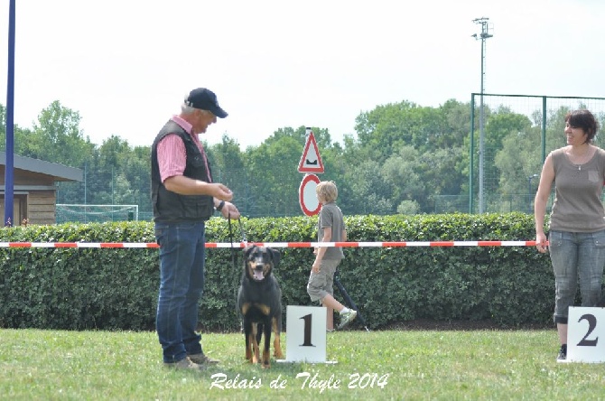 Du Relais De Thyle - CHAMPIONNE DU LUXEMBOURG