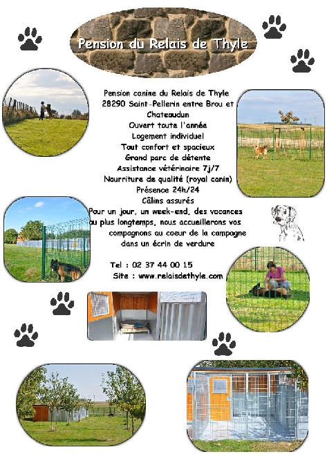 Du Relais De Thyle - Pension canine !