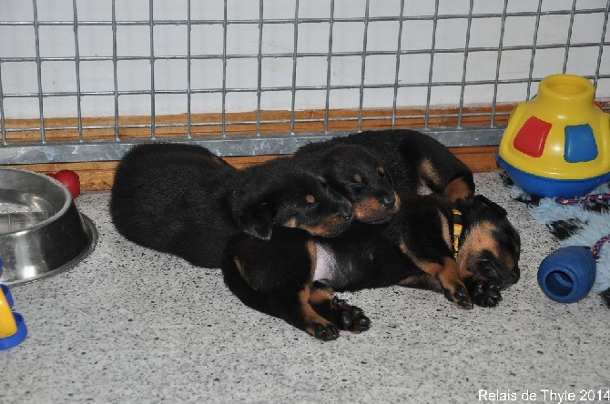 Du Relais De Thyle - Pause tendresse !