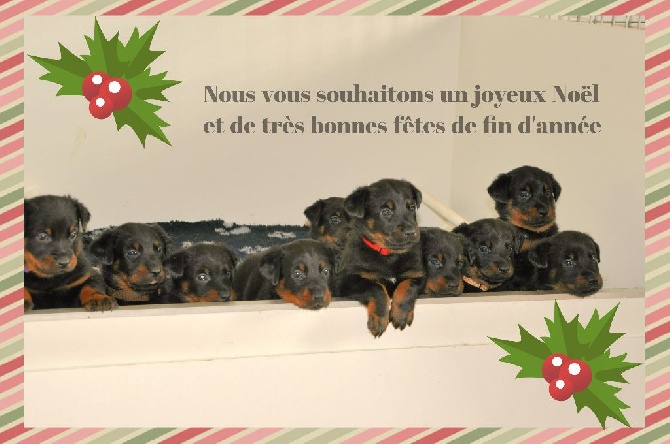 Du Relais De Thyle - Joyeux Noël