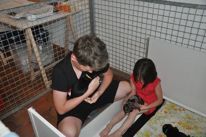 Du Relais De Thyle - Moment tendresse !