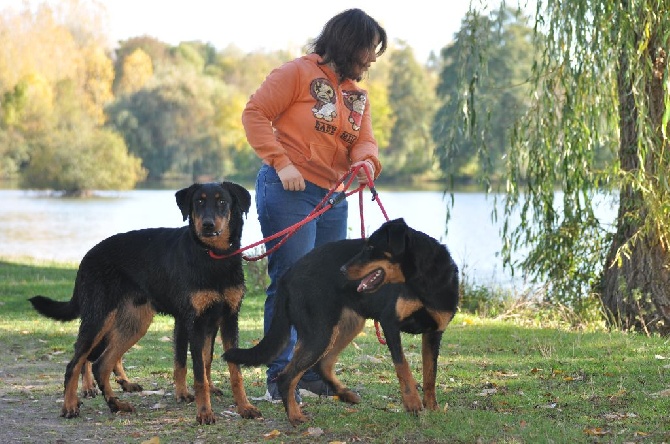 Du Relais De Thyle - Journée Beauceronne !