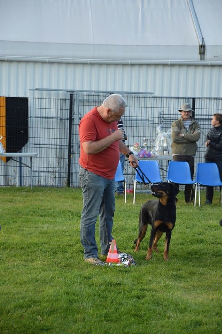 Du Relais De Thyle - Journée Beauceronne Gravelines !