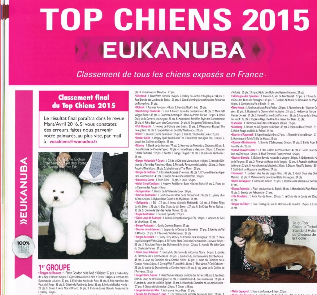 Du Relais De Thyle - TOP CHIENS 2015